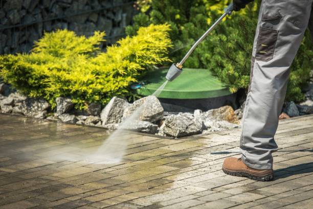 Best Building Exterior Washing  in Carthage, NY